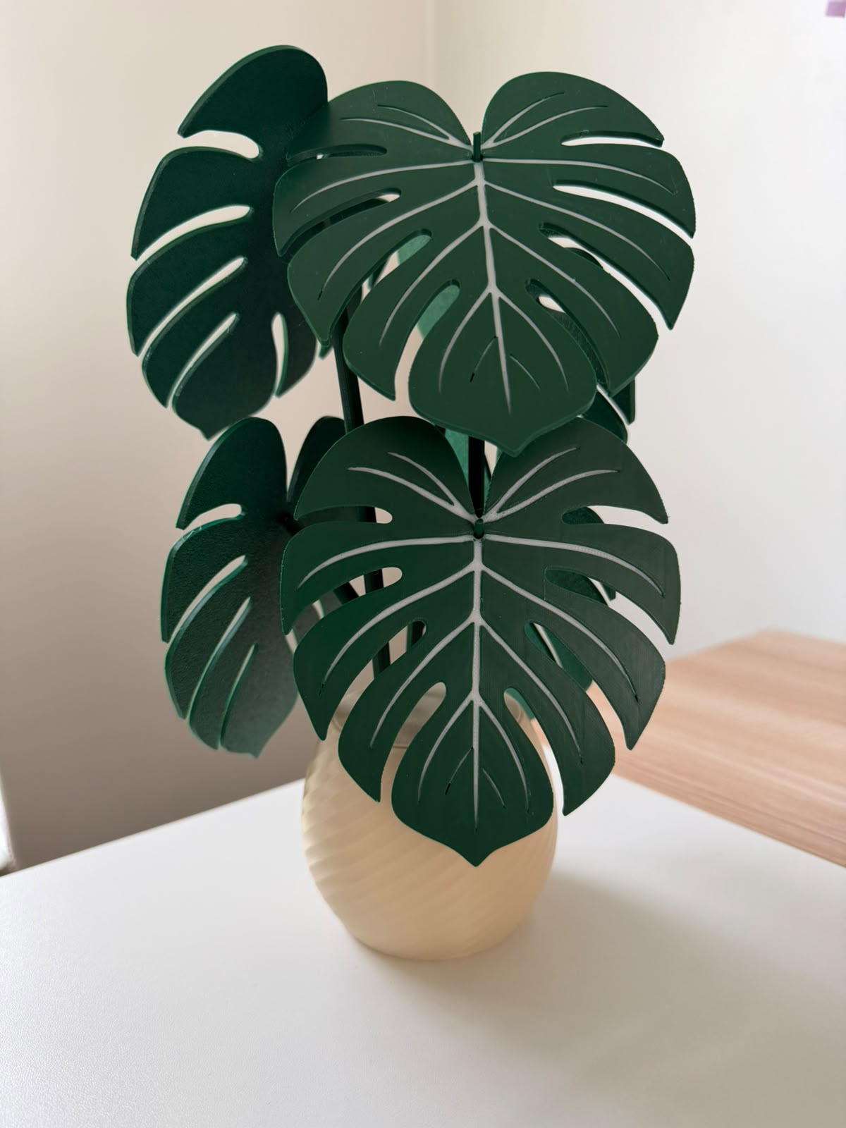 Planta Montera Posa Vasos